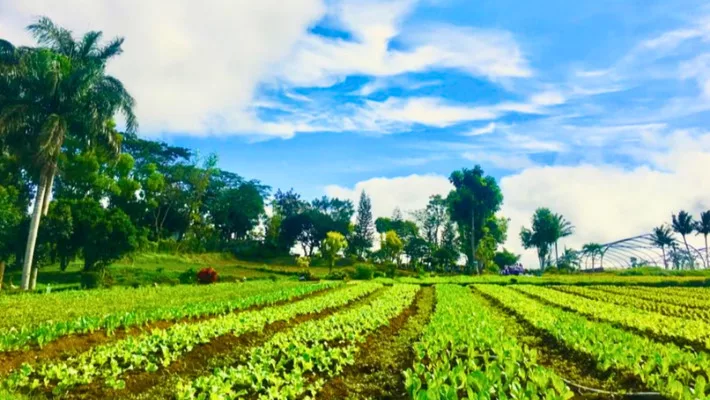 Gourmet Farms in Cavite